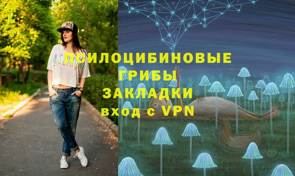 винт Богданович