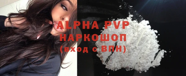 винт Богданович